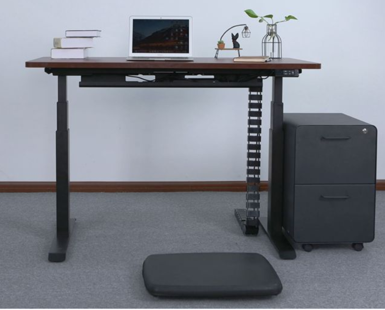 dual motor standing table